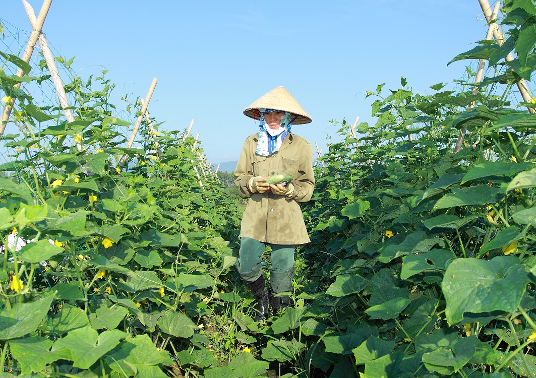 Phụ nữ huyện M’Drắk học tập và làm theo tấm gương đạo đức Hồ Chí Minh